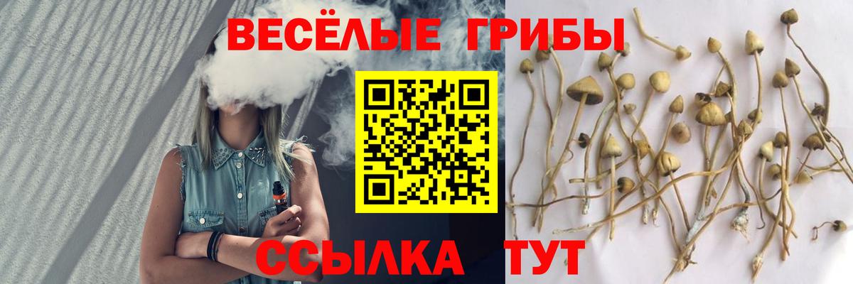 Галлюциногенные грибы мухоморы Гуково